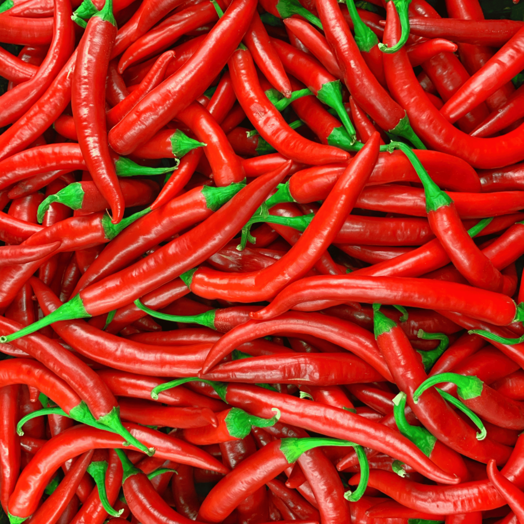 Red Chilli - IKSA International Exports