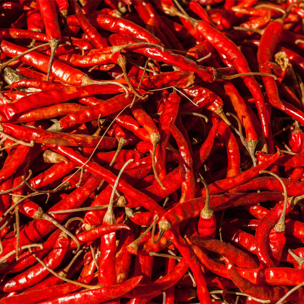 Red Chilli - IKSA International Exports