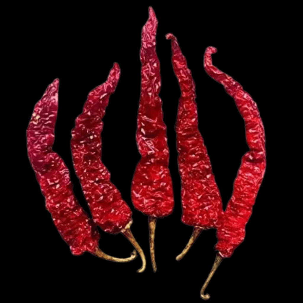 Byadgi Clilli -IKSA Exports