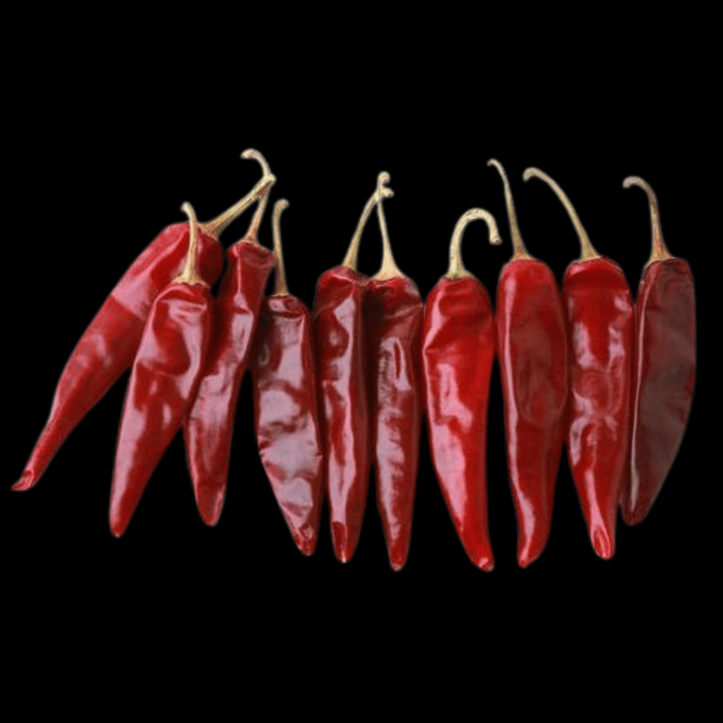 Endo Clilli - IKSA Exports